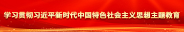 操女屄毛洞洞视频学习贯彻习近平新时代中国特色社会主义思想主题教育